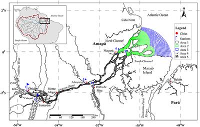 Carbon Dioxide Emissions along the Lower Amazon River